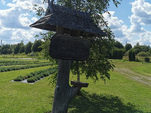 "Andrēni", Taurenes pagasts