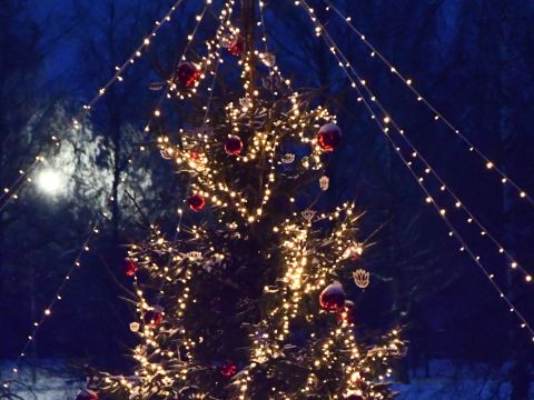 Eglītes iedegšana Vecpiebalgā 2025