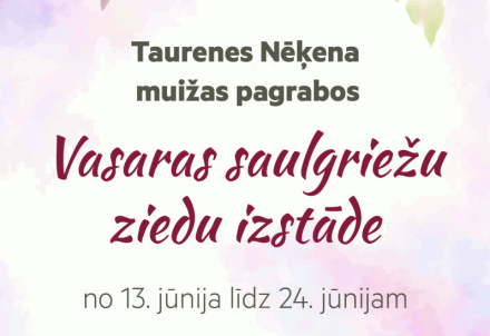 Vasaras saulgriežu ziedu izstāde Taurenē